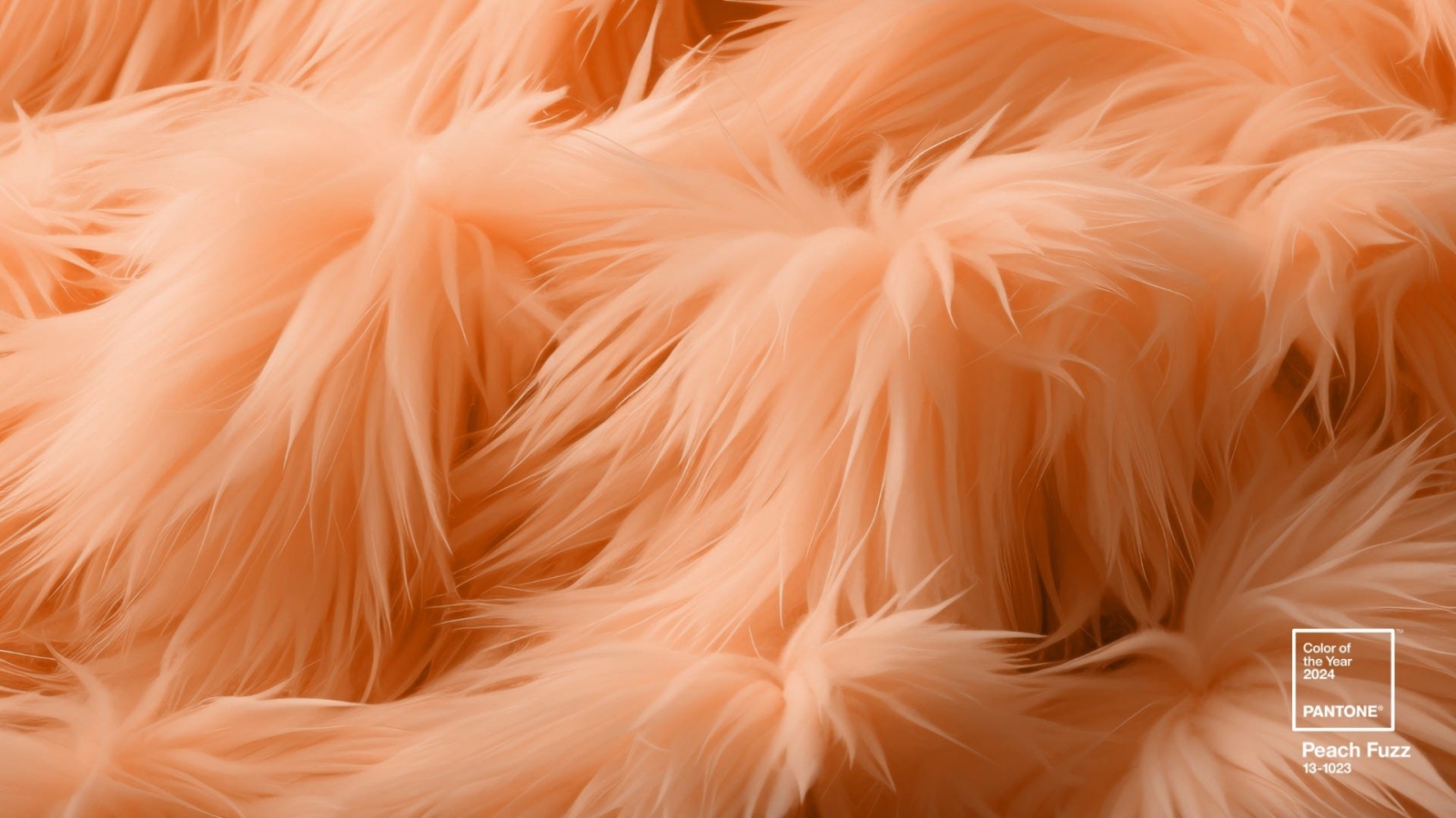 màu sắc của năm 2024, peach fuzz, pantone, Pantone 13-1023 Peach Fuzz