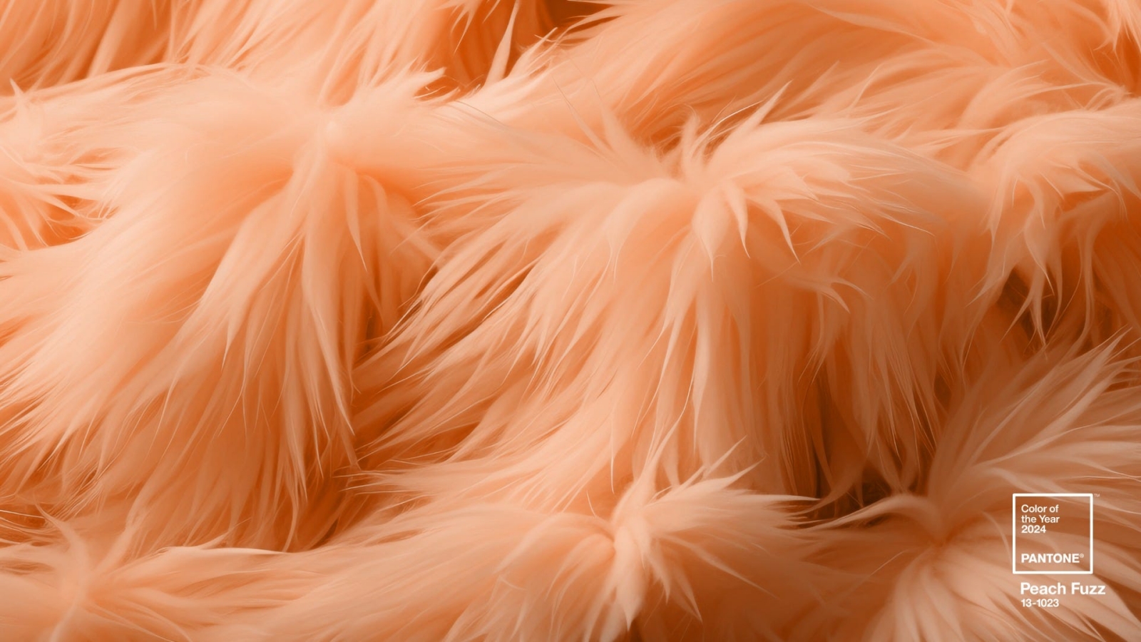 màu sắc của năm 2024, peach fuzz, pantone, Pantone 13-1023 Peach Fuzz, color of the year