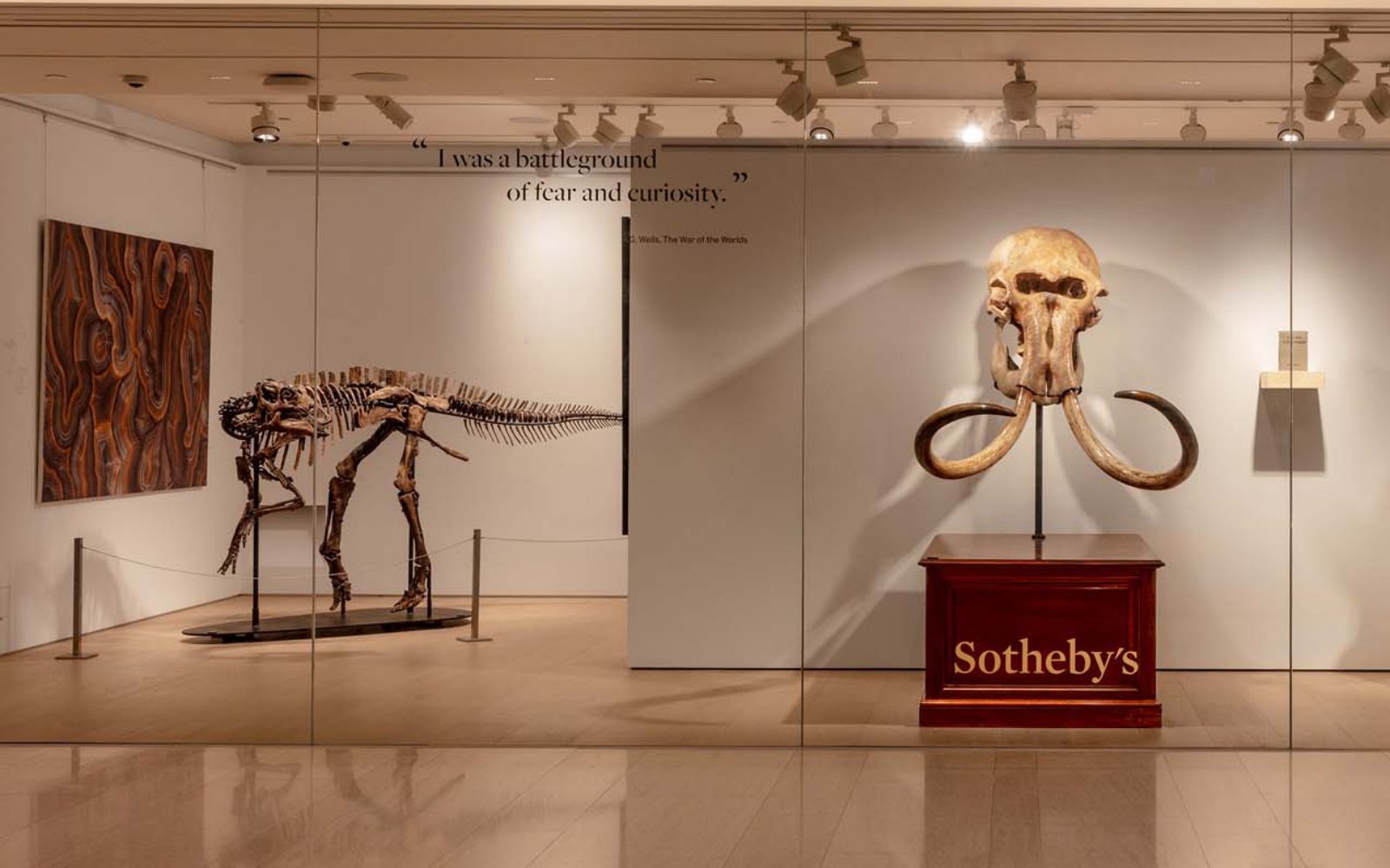 Sotheby's, Maison, triển lãm, du lịch hồng kông, không gian triển lãm
