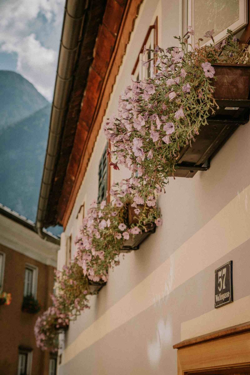 WWK-thi-tran-hallstatt-lang-co-nuoc-ao-duoi-ong-kinh-chang-trai-nguoi-viet