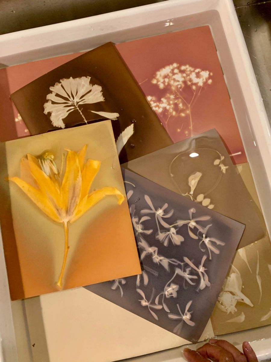 Noirfoto, chloris, triển lãm, phạm tuấn ngọc, vy gallery