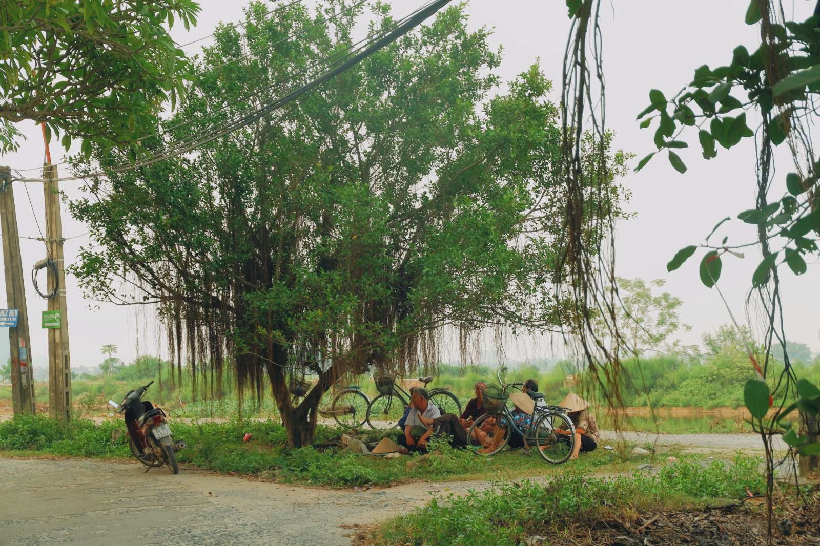 Ninh Bình, cố đô Hoa Lư, Tràng An, Hang Múa, Hành Cung Vũ Lâm, Phim trường Kong