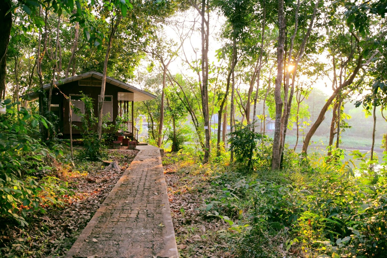 Panditarama Forest Meditation Center, thiền