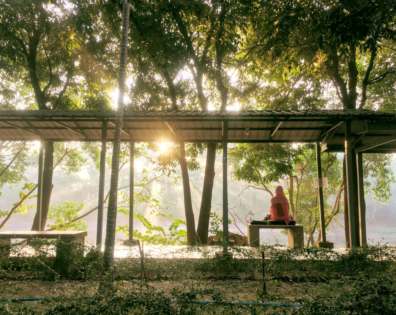 Panditarama Forest Meditation Center, thiền