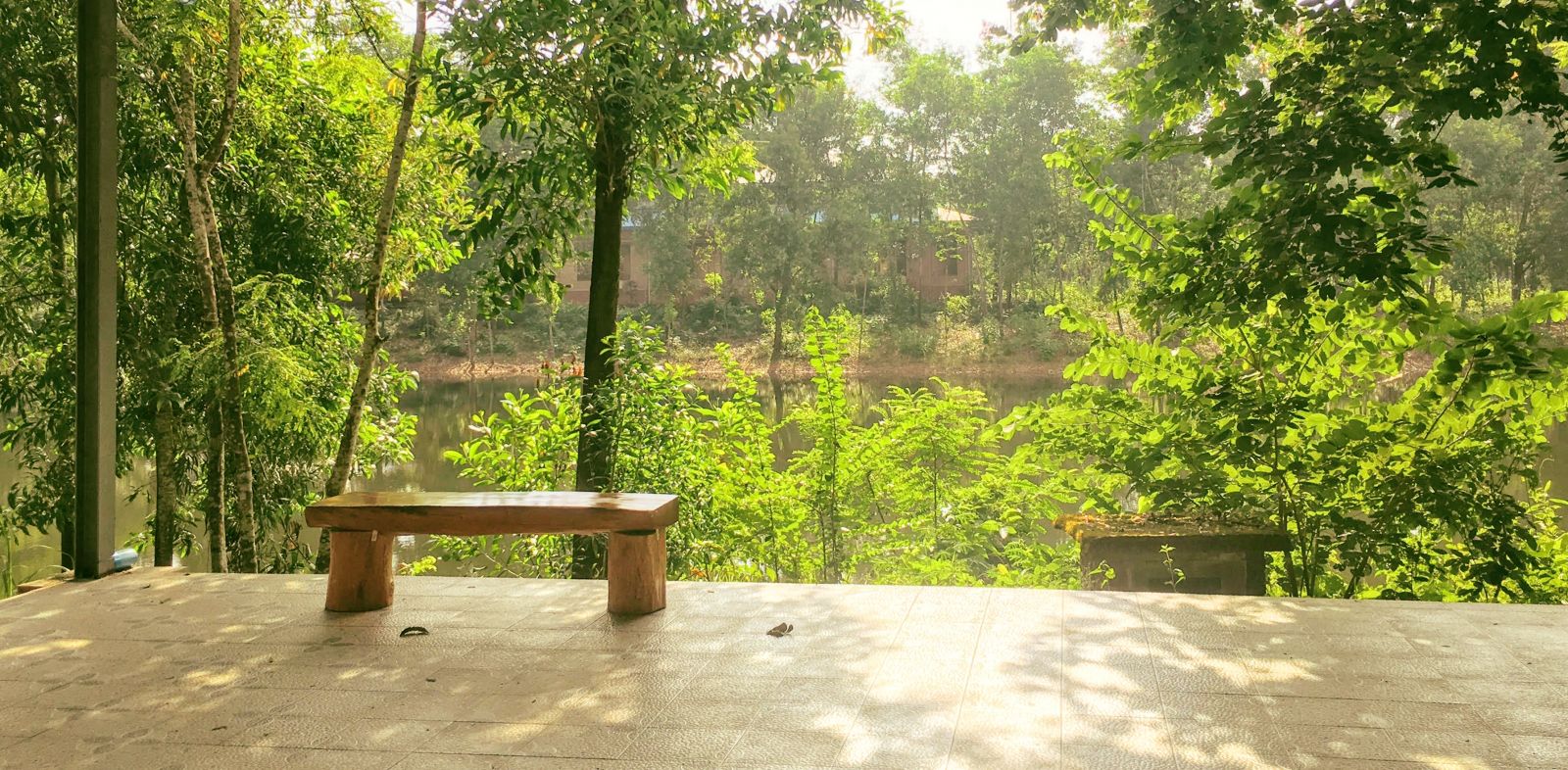 Panditarama Forest Meditation Center, thiền