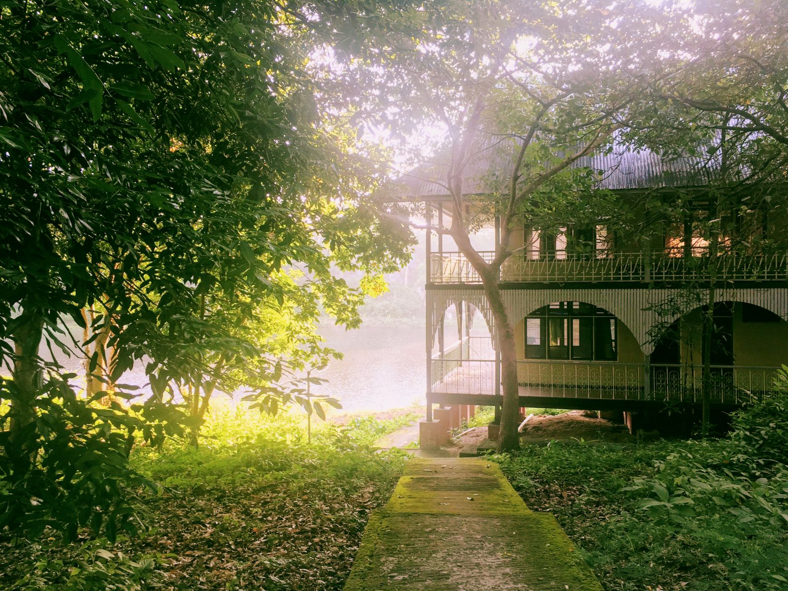 Panditarama Forest Meditation Center, thiền
