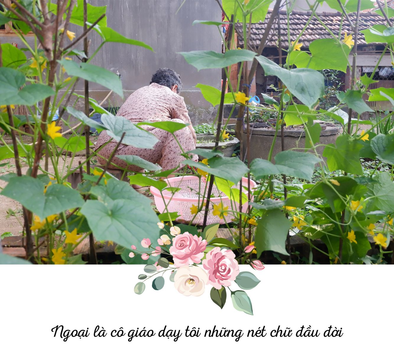 20-11, Nhà giáo Việt Nam, Kỷ niệm, thầy cô, học trò