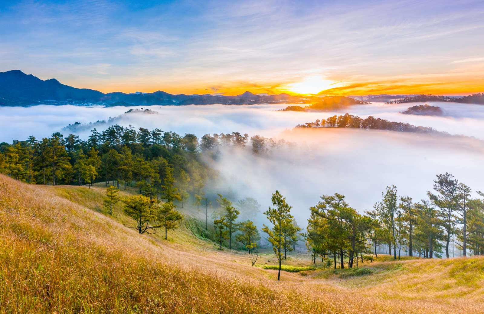 Đà Lạt, du lịch, trải nghiệm, khám phá