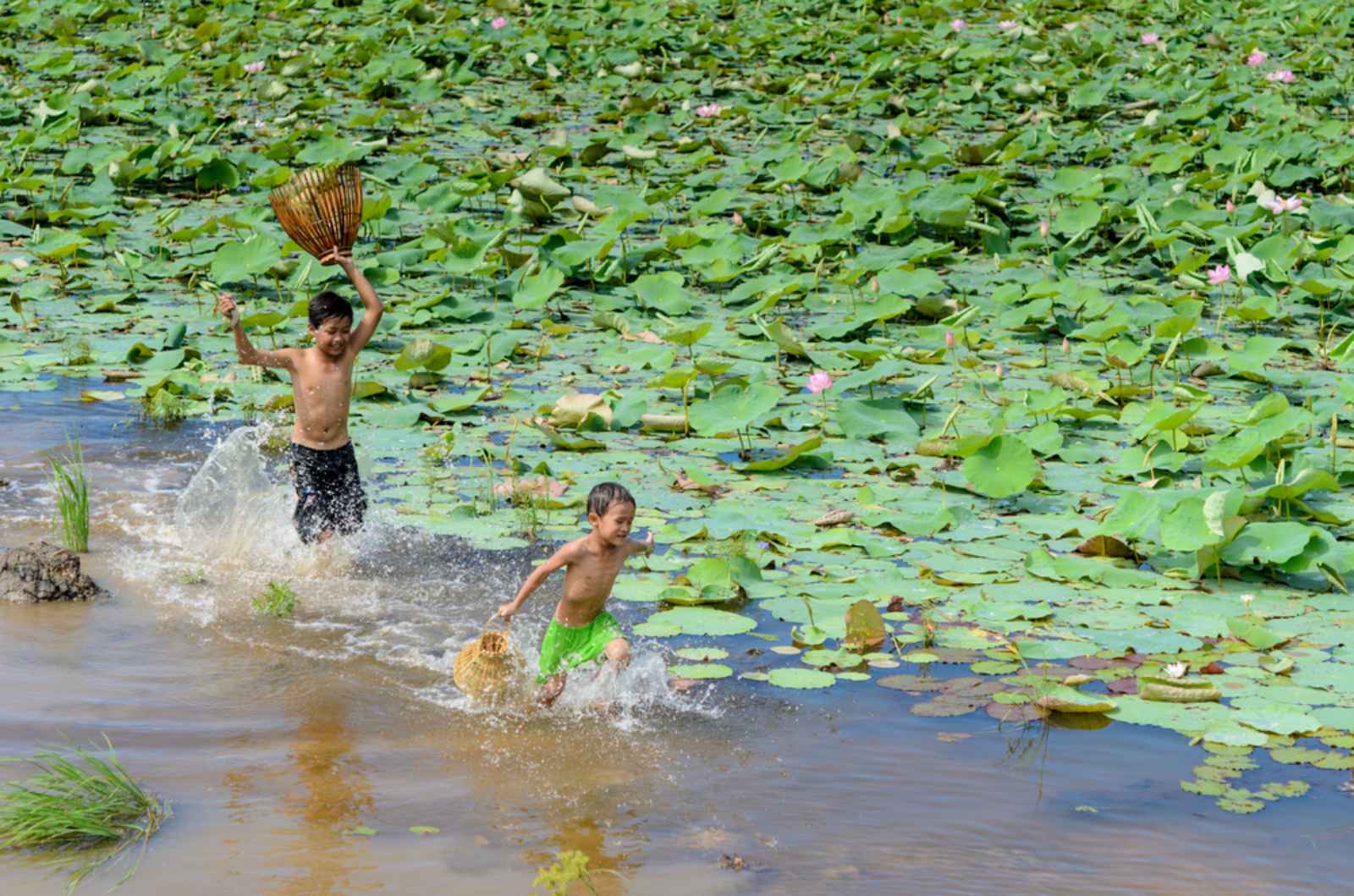 miền tây, mùa nước nổi, món ăn miền tây