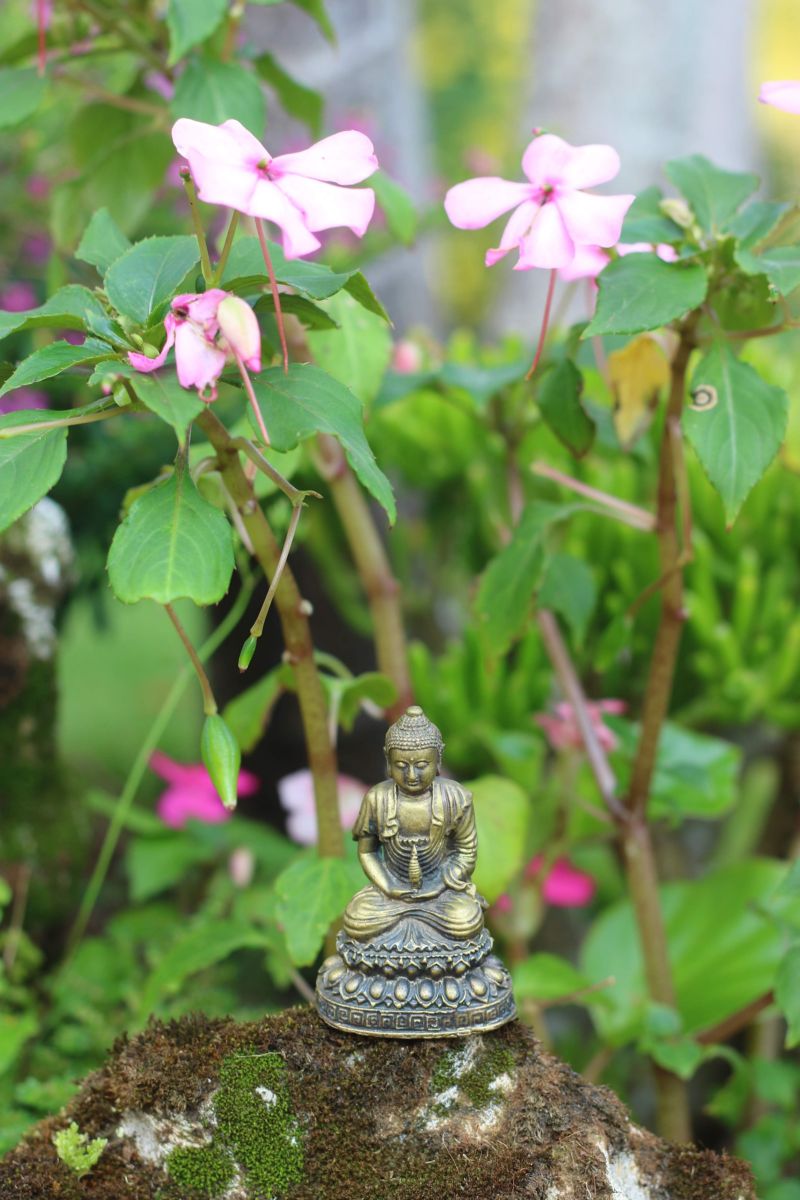 an yên, tỉnh thức, thiền 