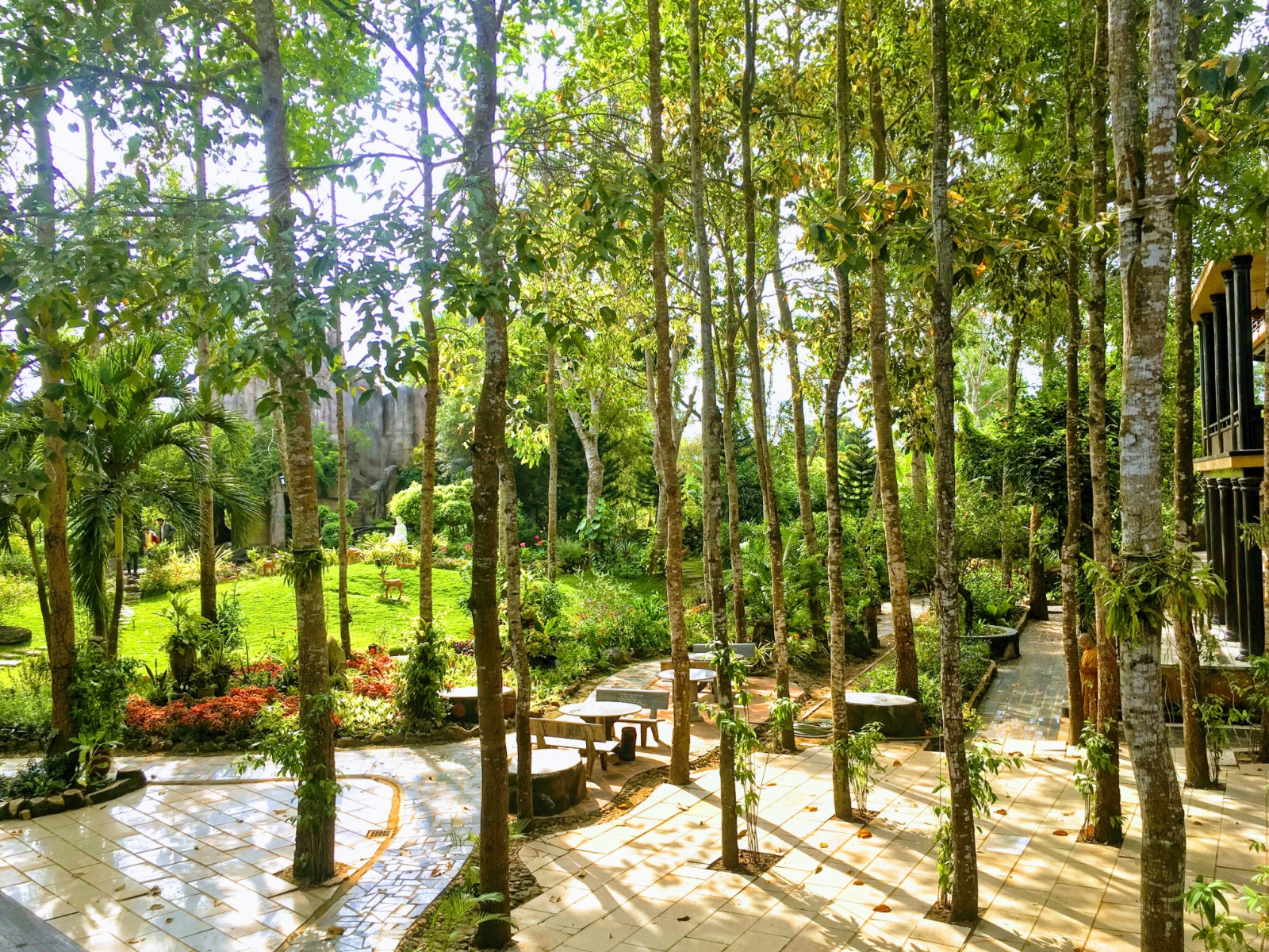 an yên, tỉnh thức, thiền 