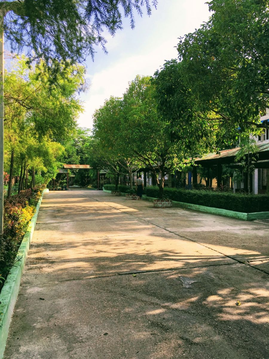 an yên, tỉnh thức, thiền 