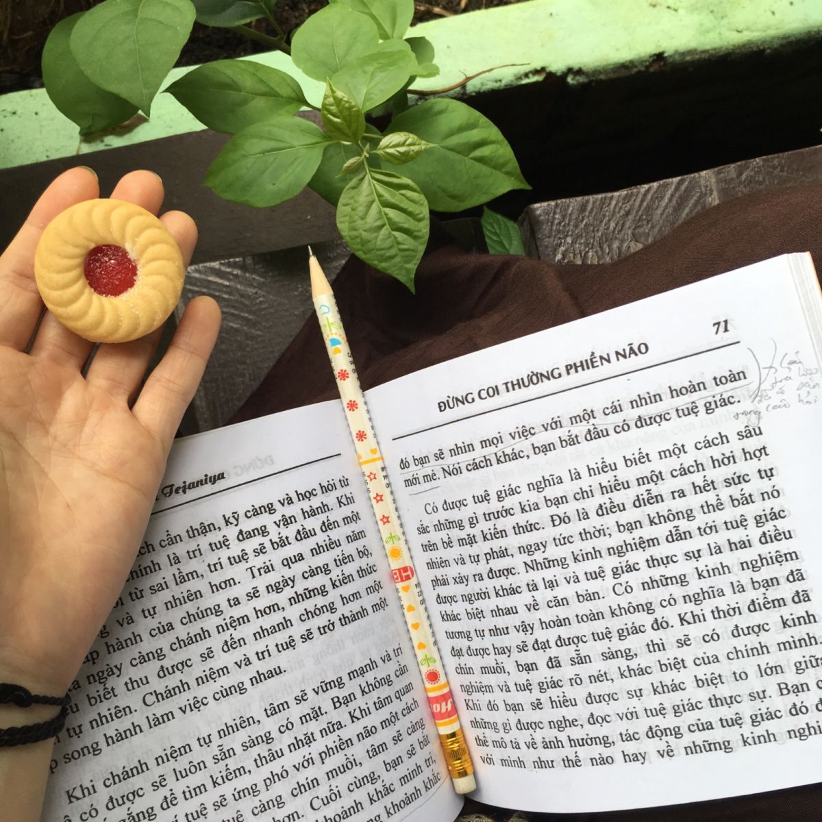 an yên, tỉnh thức, thiền 