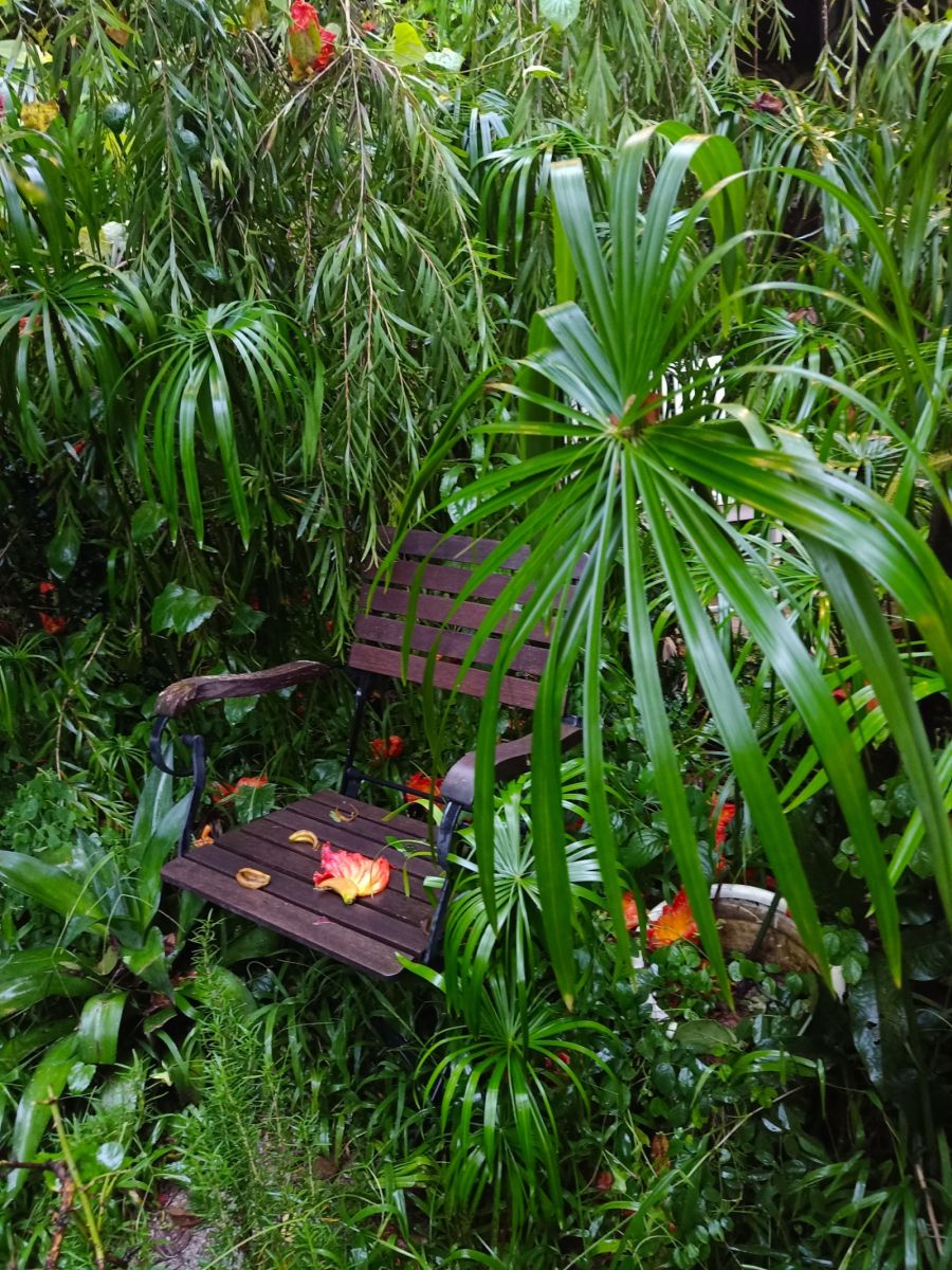 little december, đà lạt, khu vườn nhỏ 