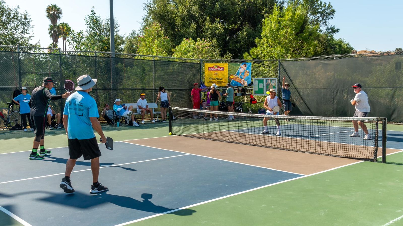Pickleball, môn thể thao mới, xu hướng thể thao, thể thao, thể thao cuối tuần