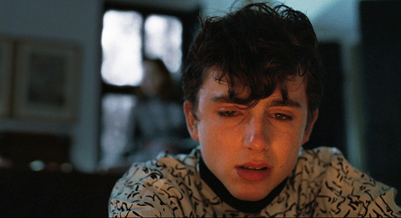 call me by your name, màu sắc trong phim, phim nghệ thuật