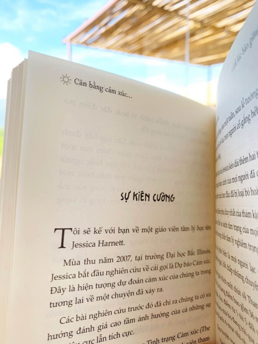 cân bằng cảm xúc cả lúc bão giông, review sách, cảm nhận sách