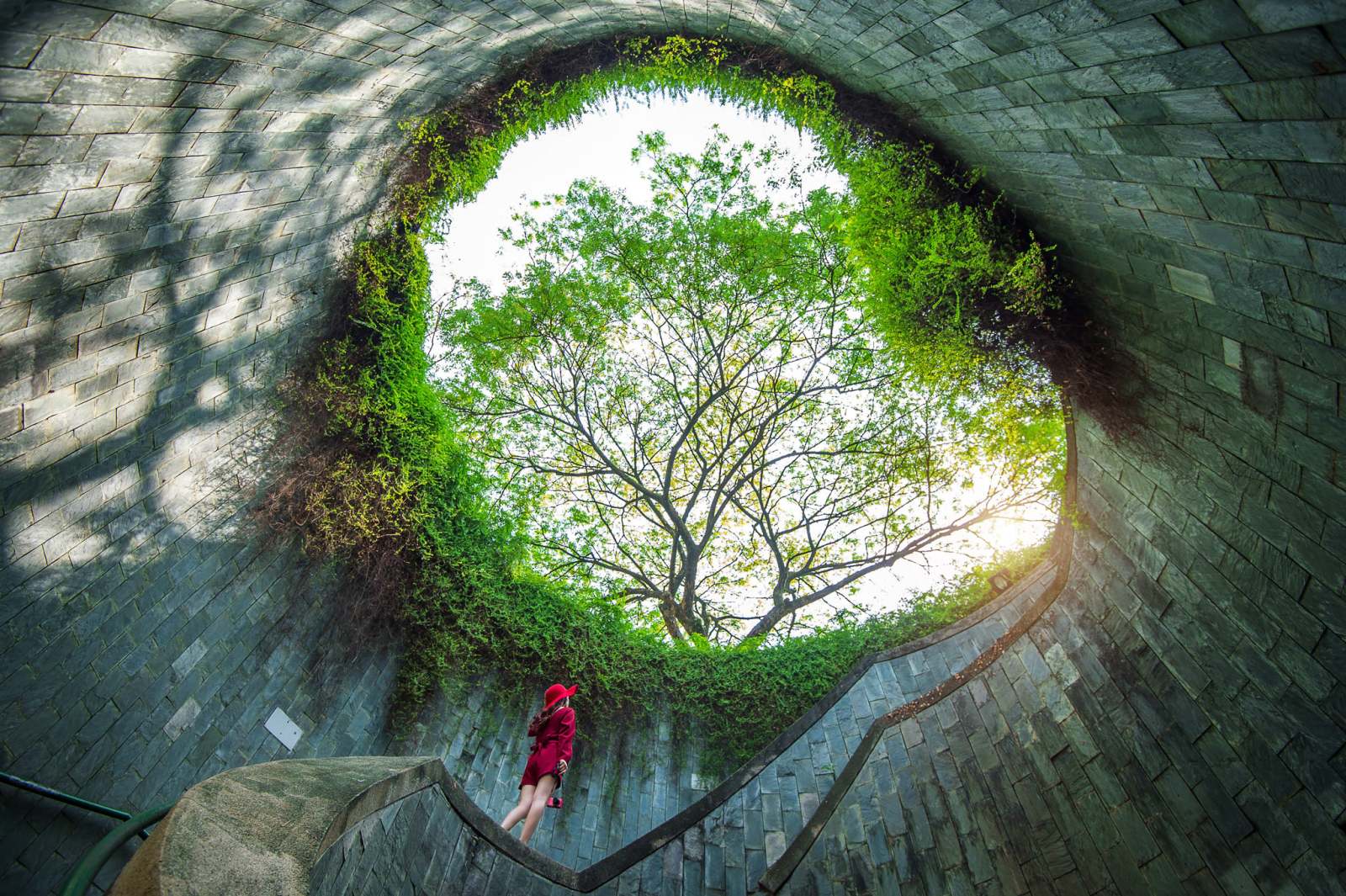 nhung-dia-diem-check-in-song-ao-singapore-fort-canning-park