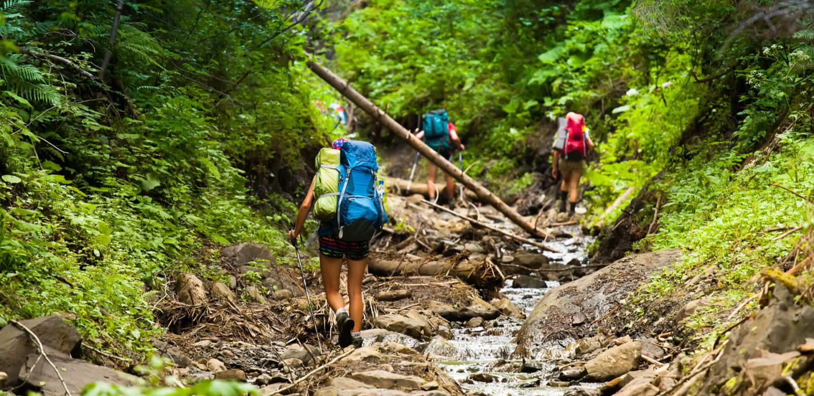 trekking, du lịch mạo hiểm, tips & advice, cần chuẩn bị gì khi trekking, trekking cần gì