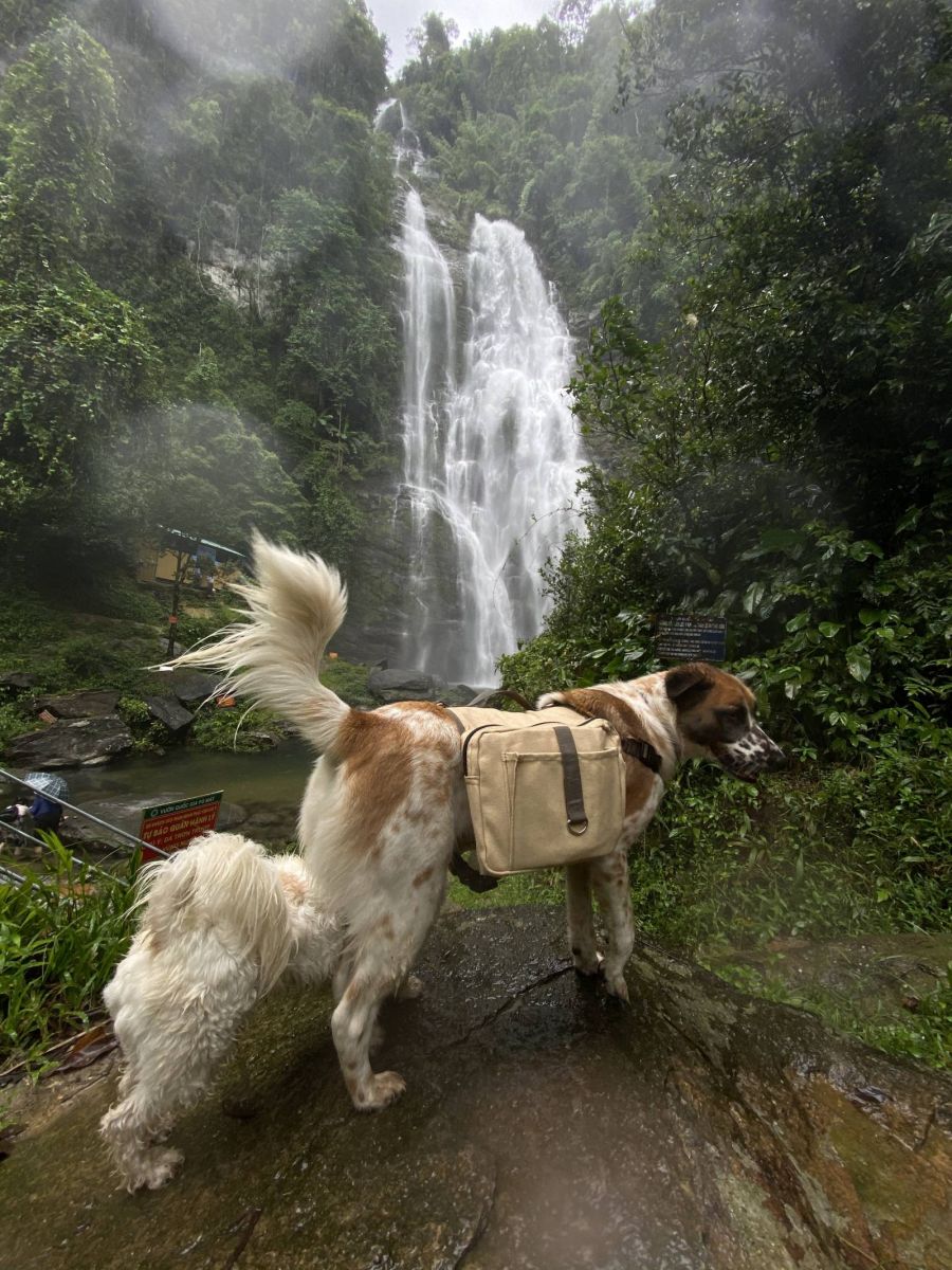 Ham Du Hí, Hành trình du mục, camplife, campvanlife, wowweekend, lifestyle, journey, khám phá, camping