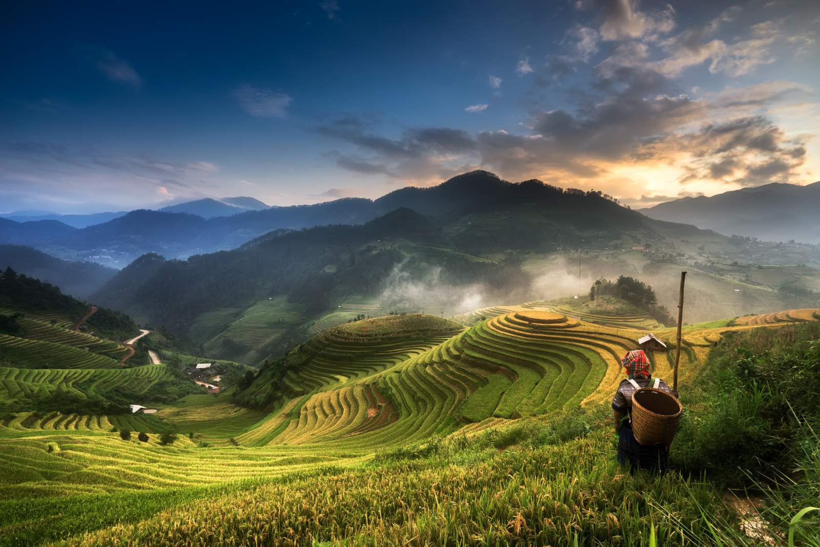 Nhiếp ảnh gia, Dzung Tran, nhiếp ảnh, thành thị, đời sống