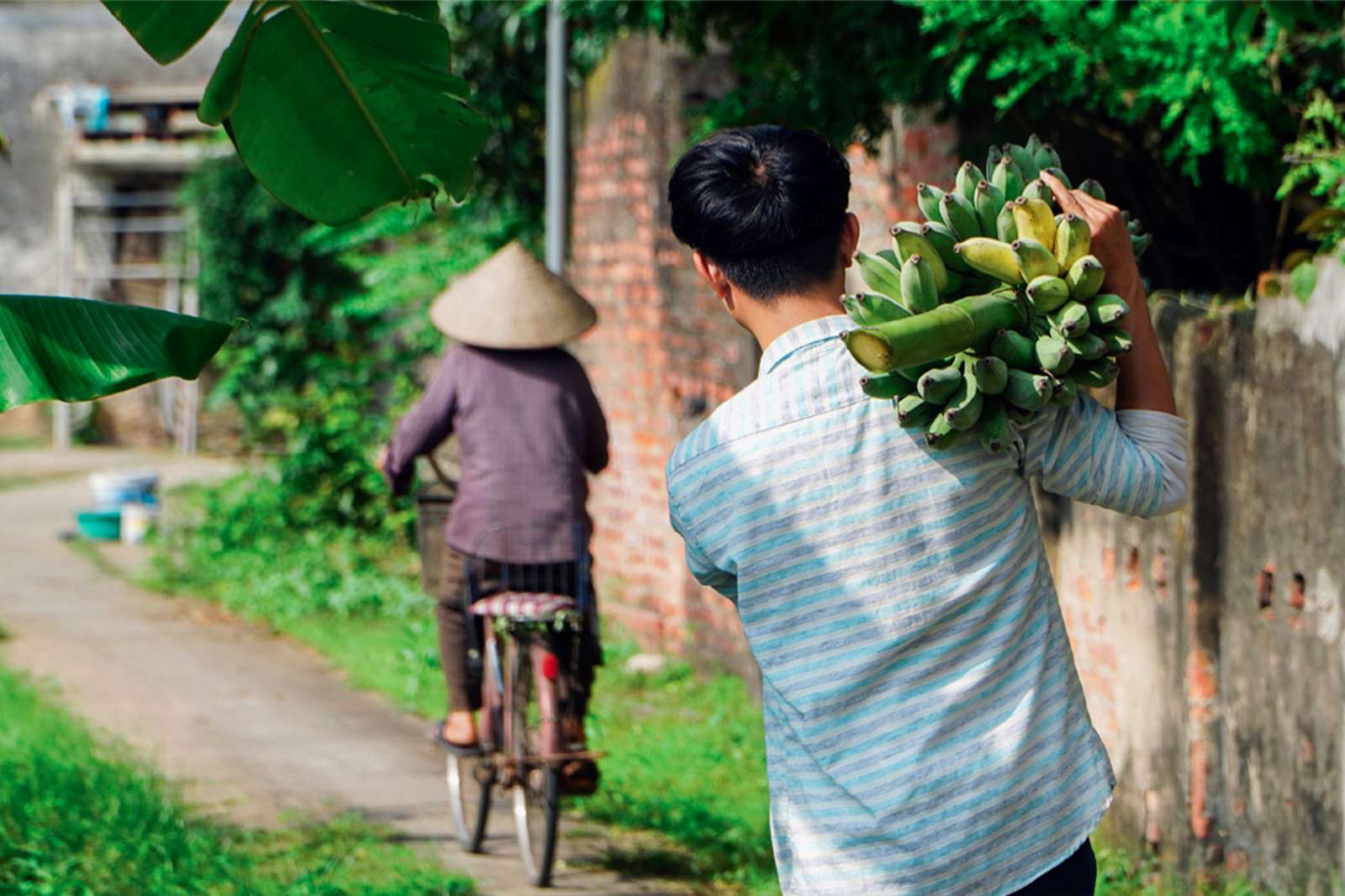 Tô Văn Lộc, Youtuber, Tô Tiểu Tường - Poon Home