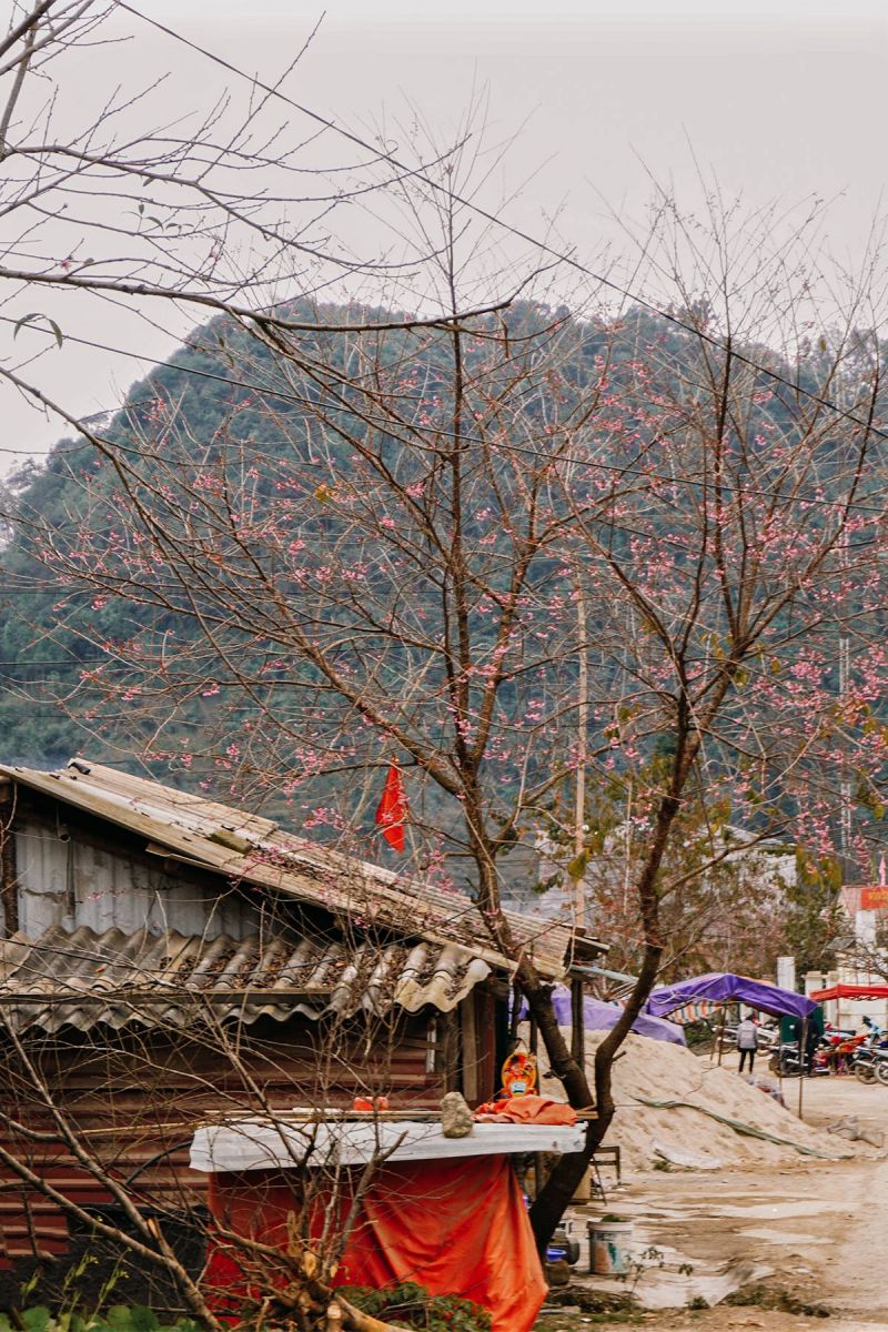WIN ĐI, Du lịch, trải nghiệm, khám phá