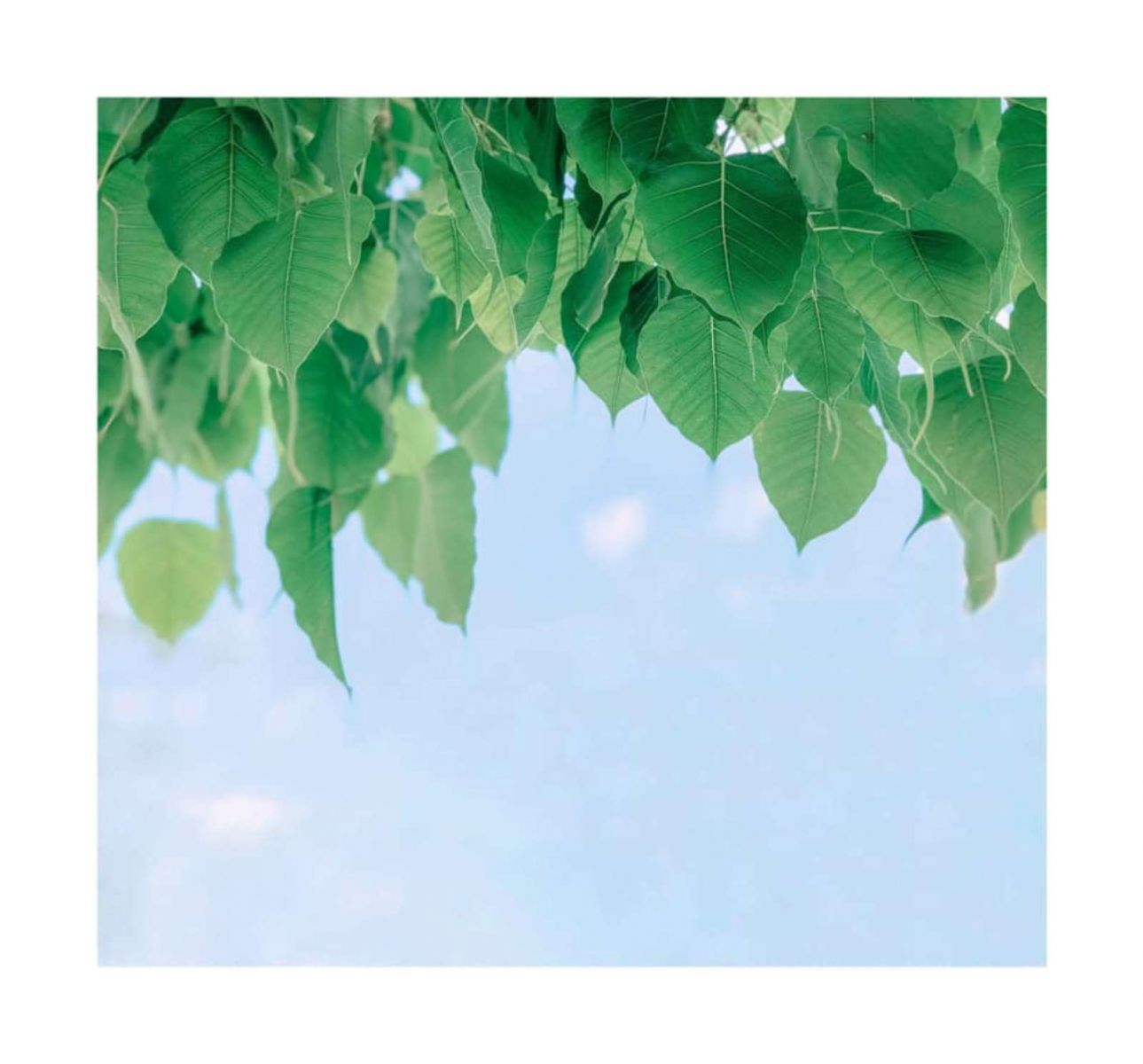 Photographer, Nhiếp ảnh gia, Đam mê nhiếp ảnh