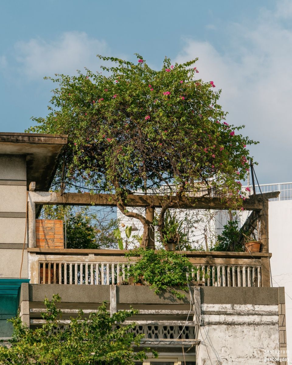 Si Trần, chụp ảnh, ban công, sài gòn, dạo phố