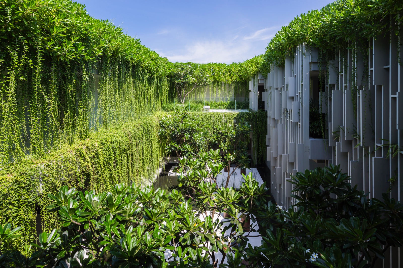 mia design studio, mia, mia design, nguyễn hoàng mạnh, thiên nhiên