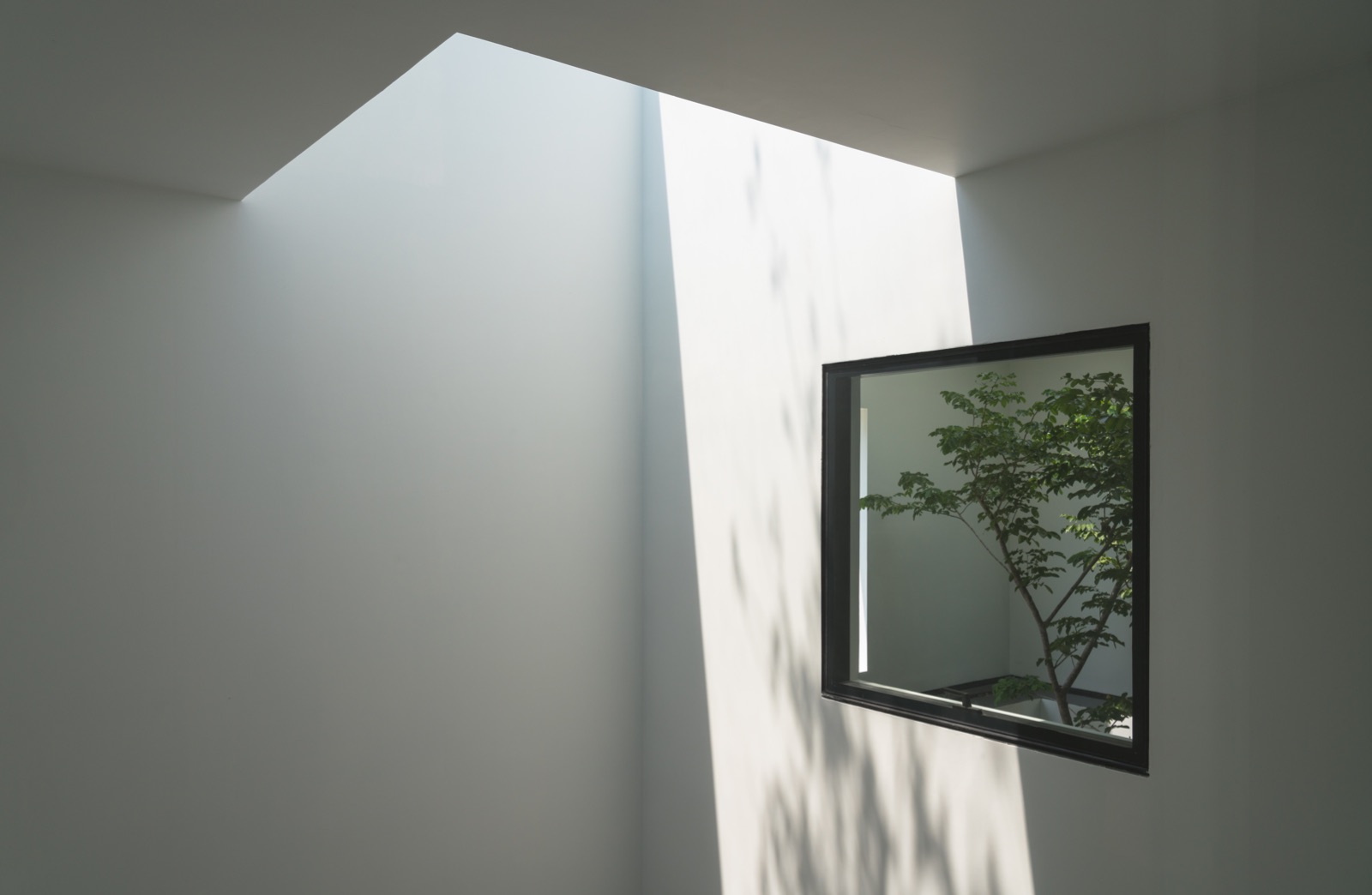 mia design studio, mia, mia design, nguyễn hoàng mạnh, thiên nhiên