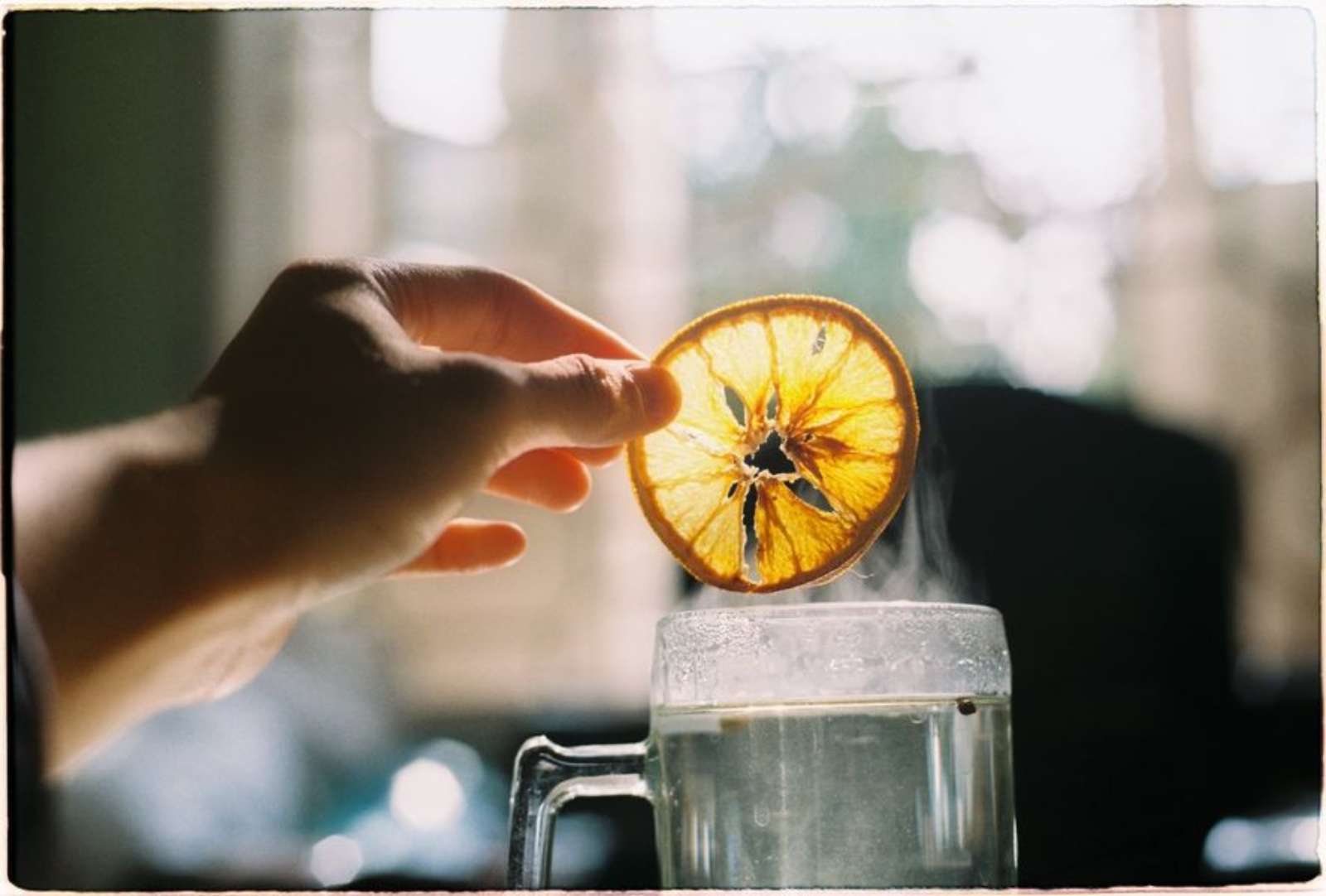 W Coffee Talk, Phạm Minh, ảnh film, máy ảnh film, photograph