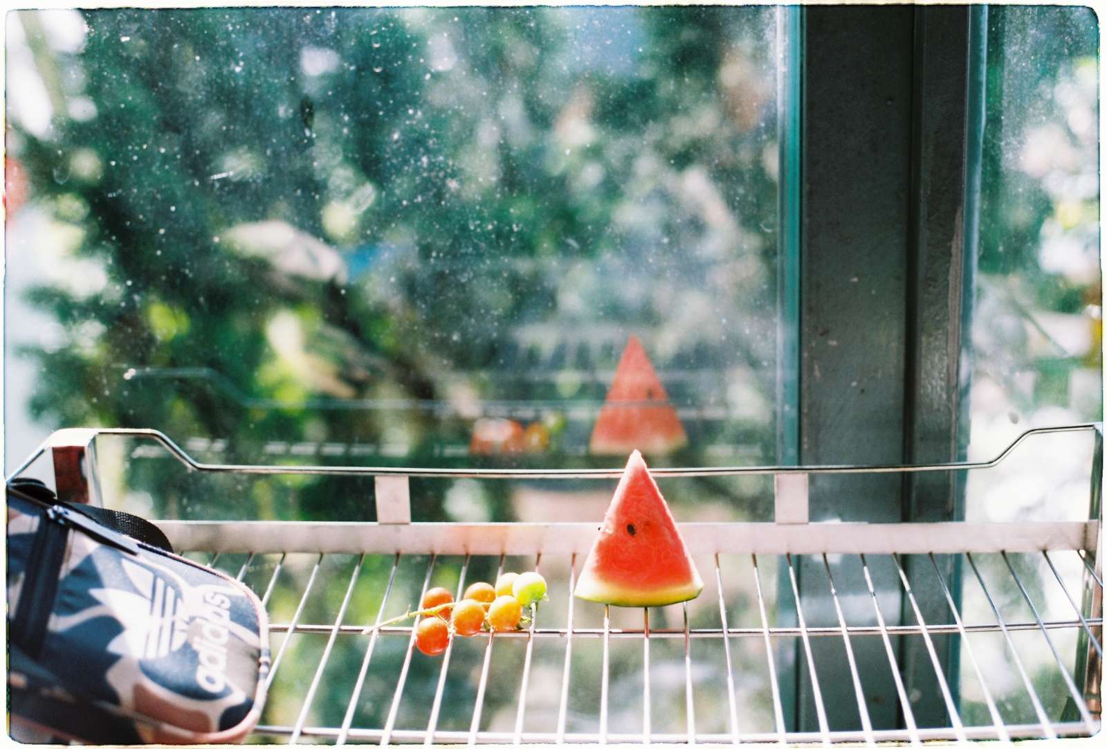 W Coffee Talk, Phạm Minh, ảnh film, máy ảnh film, photograph