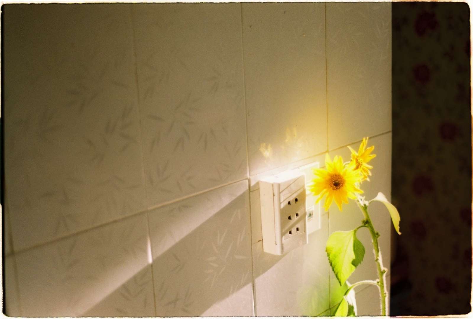 W Coffee Talk, Phạm Minh, ảnh film, máy ảnh film, photograph
