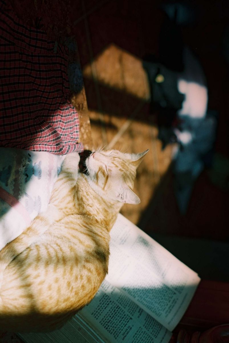 W Coffee Talk, Phạm Minh, ảnh film, máy ảnh film, photograph