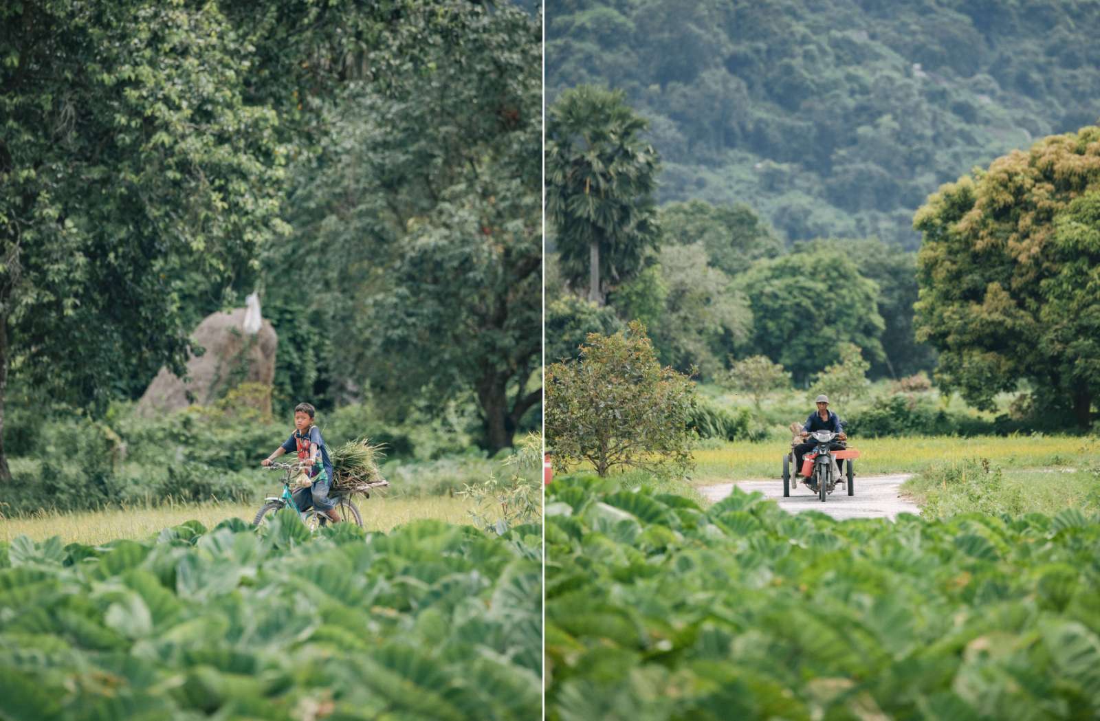 Blog Của Rọt, travel blogger, nhân vật truyền cảm hứng, An Giang, khám phá An Giang, W Coffee Talk  