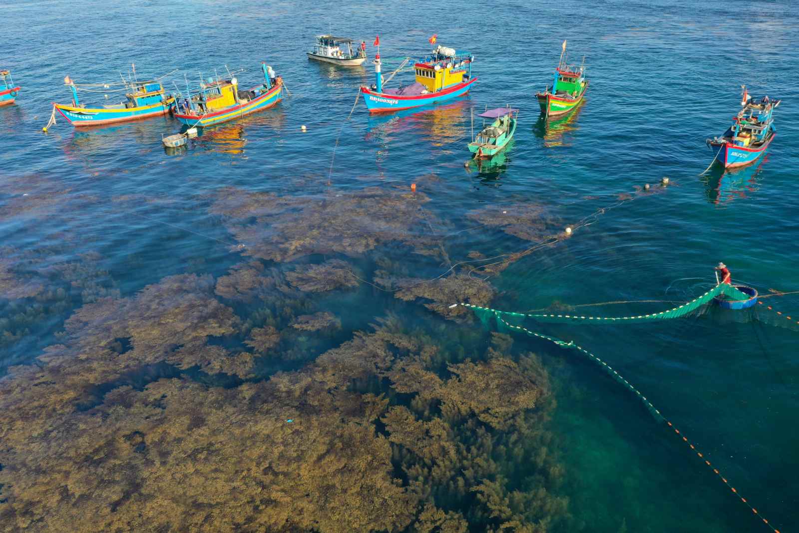 du lịch xanh, du lịch bền vững, điểm đến du lịch việt nam 2025, sustainable travel, Sustainable Tourism, vietnam destination, phú yên, măng đen, pù luông