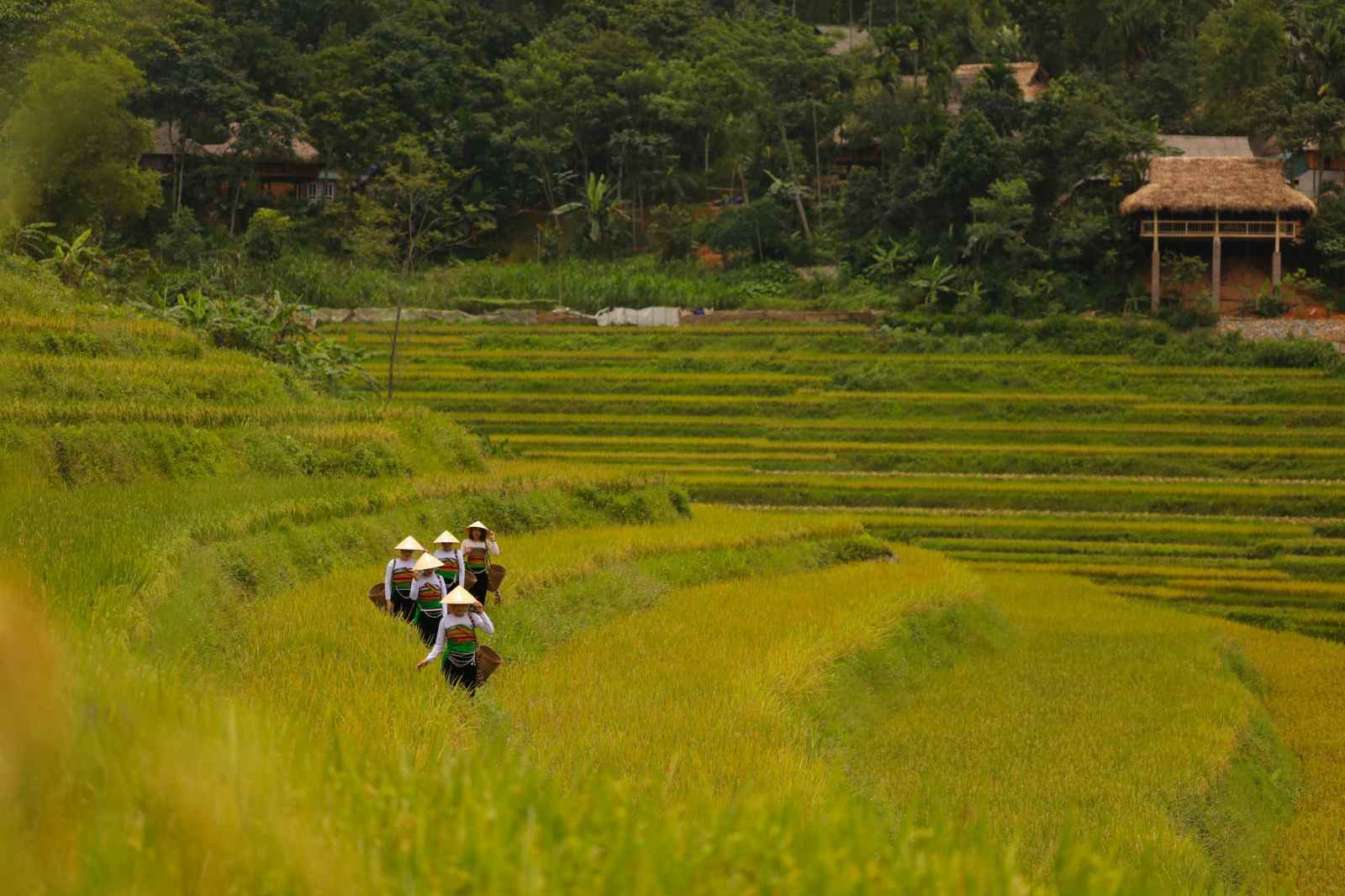 du lịch xanh, du lịch bền vững, điểm đến du lịch việt nam 2025, sustainable travel, Sustainable Tourism, vietnam destination, phú yên, măng đen, pù luông