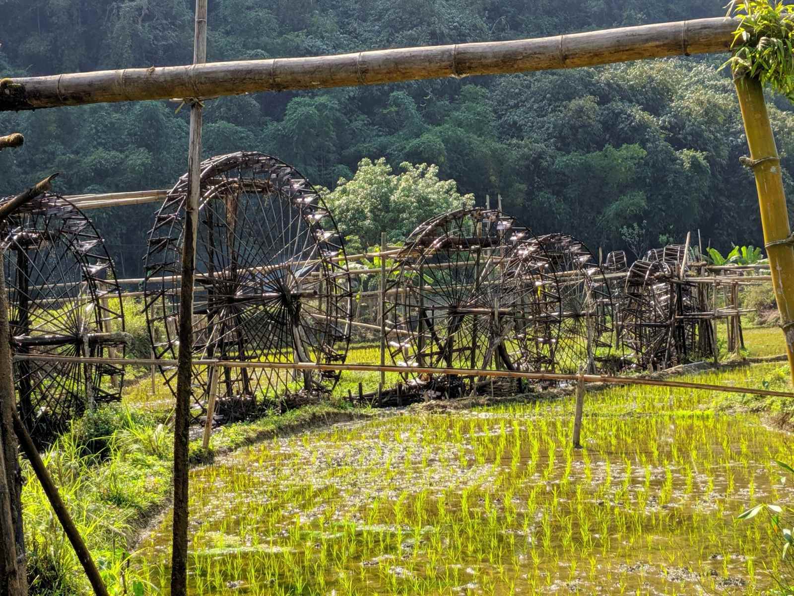 du lịch xanh, du lịch bền vững, điểm đến du lịch việt nam 2025, sustainable travel, Sustainable Tourism, vietnam destination, phú yên, măng đen, pù luông